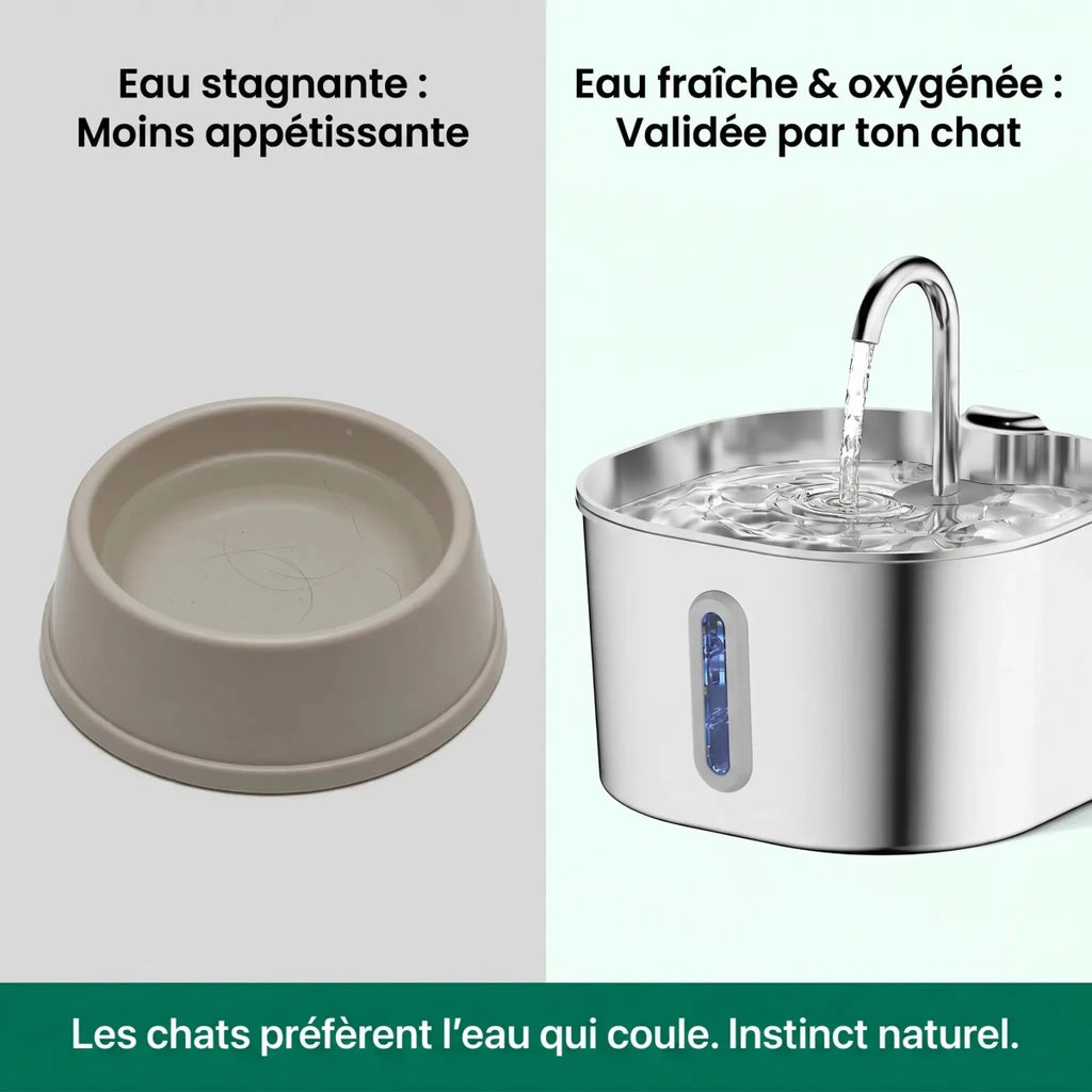 Fontaine à Eau Inox 2,2L – Silencieuse & Hygiénique pour Ton Chat - GetForCat