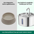 Fontaine à Eau Inox 2,2L – Silencieuse & Hygiénique pour Ton Chat - GetForCat